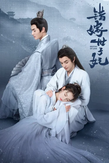  Destiny of Love