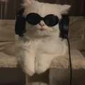 hiraymisim
