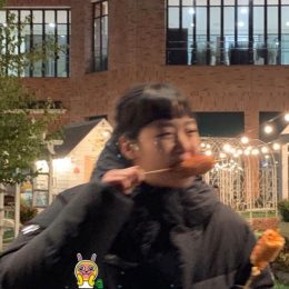 mazeoflights