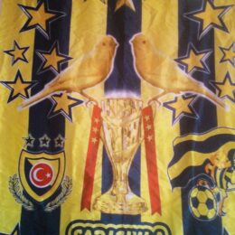 ysmn1907